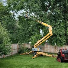 Best Fruit Tree Pruning  in Brook Highland, AL