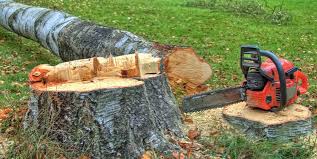 How Our Tree Care Process Works  in  Brook Highland, AL